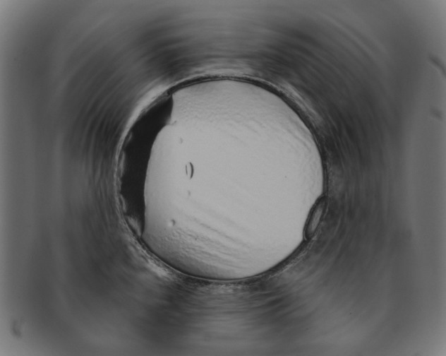 X0000091231240200709061513
