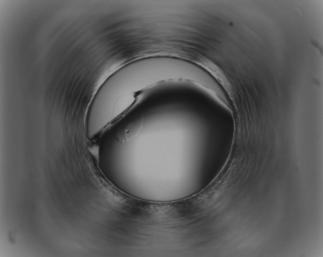 X0000091231242200709061513