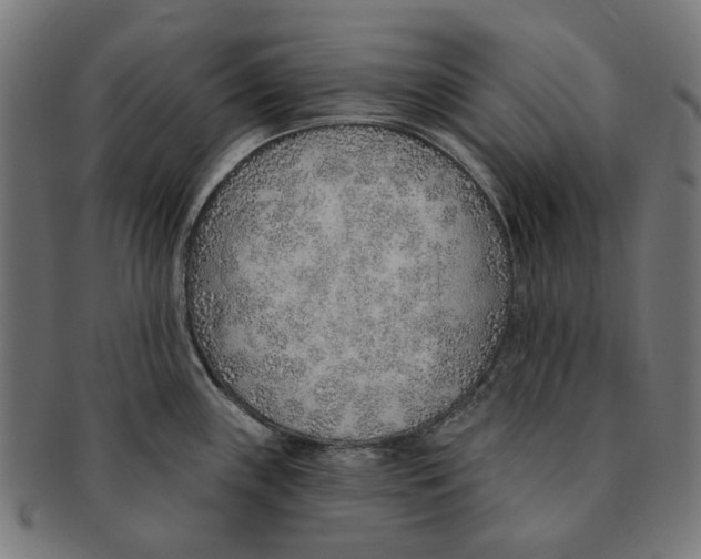 X0000091231243200709061513