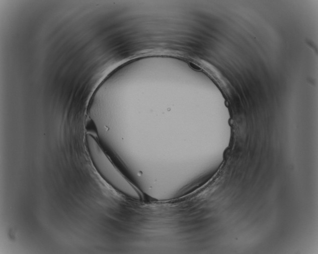 X0000091231244200709061513