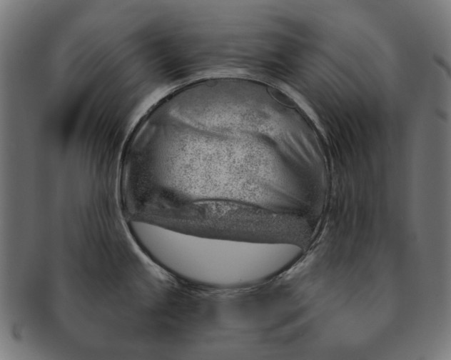 X0000091231245200709061513