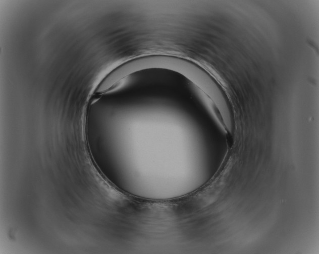 X0000091231246200709061513