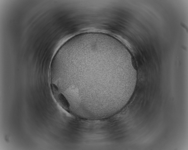 X0000091231247200709061513