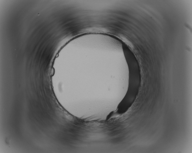 X0000091231248200709061513