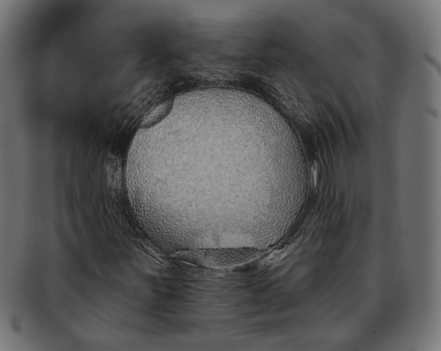 X0000091231251200709061512
