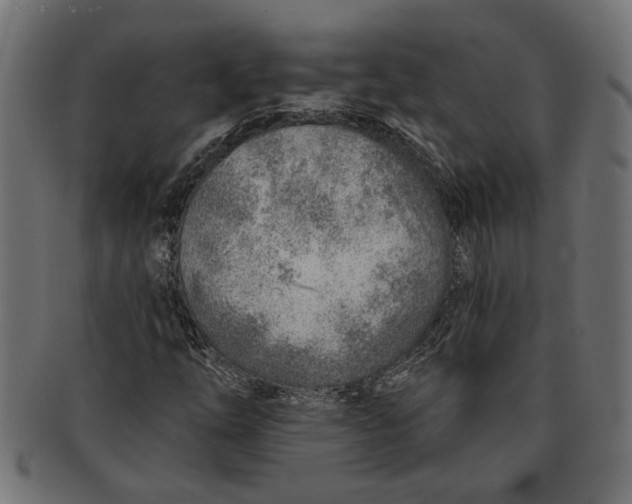 X0000091231254200709061512