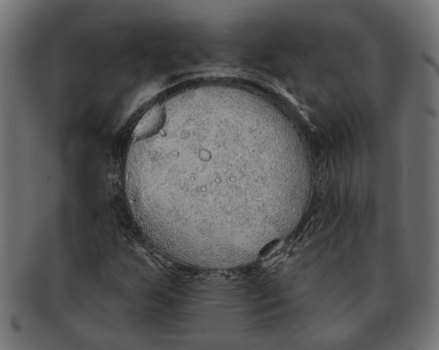 X0000091231255200709061512
