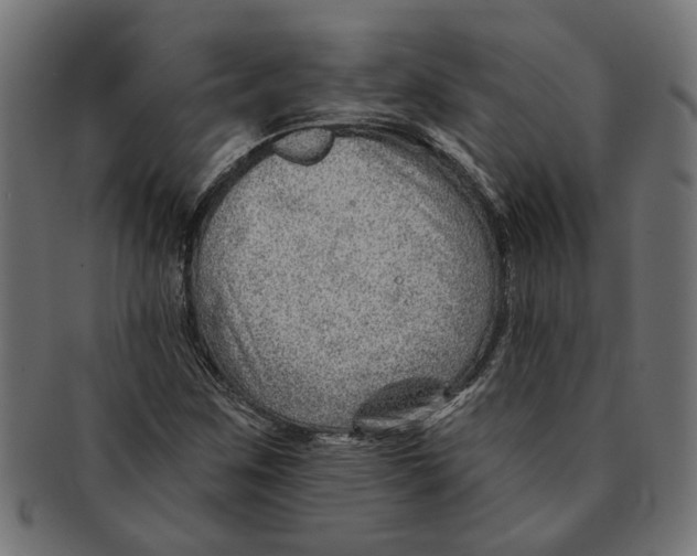X0000091231259200709061512