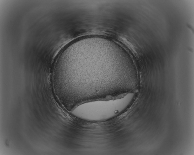 X0000091231260200709061512