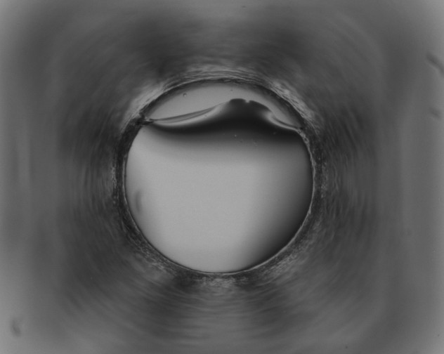 X0000091231261200709061512