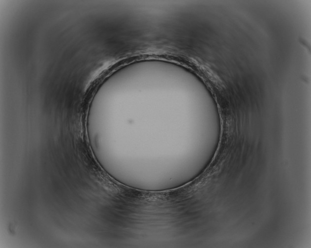X0000091231262200709061512
