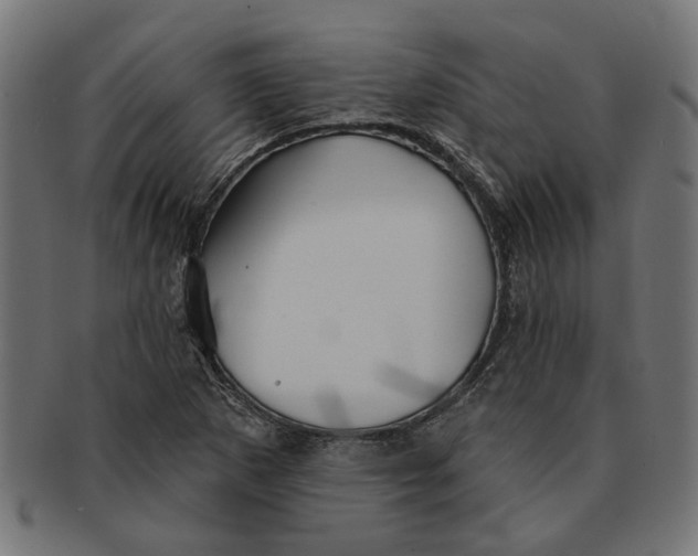 X0000091231265200709061512