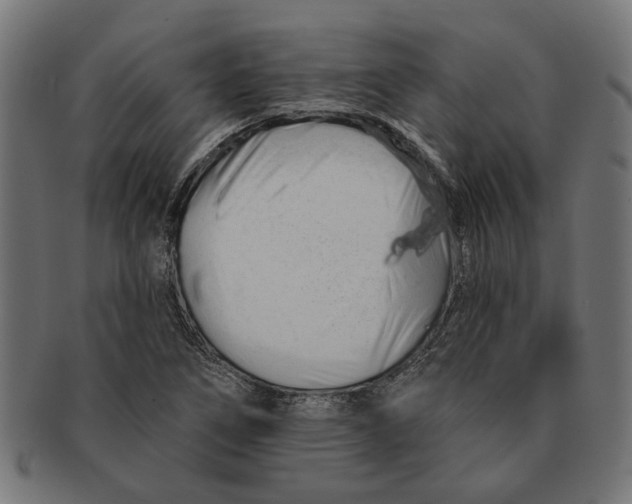 X0000091231266200709061512