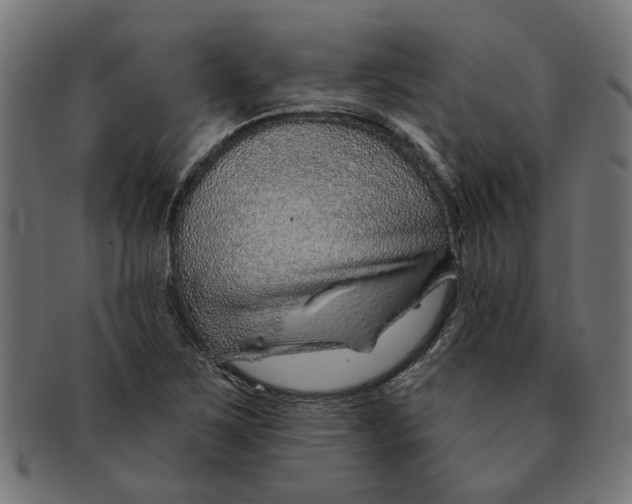 X0000091231267200709061512