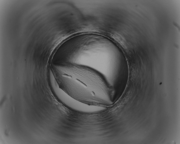 X0000091231268200709061512