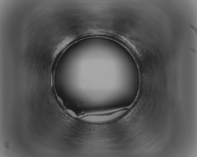 X0000091231269200709061512