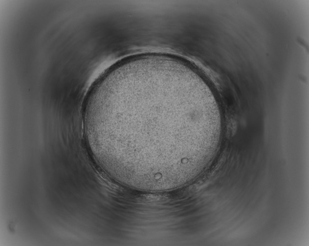 X0000091231271200709061512
