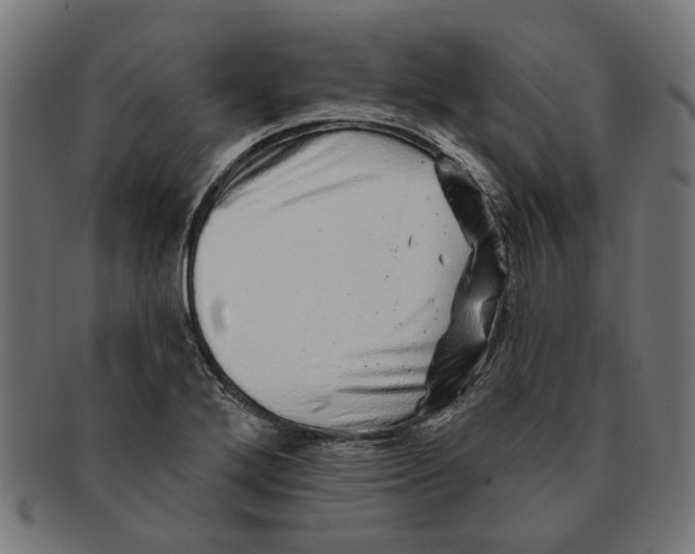 X0000091231272200709061512