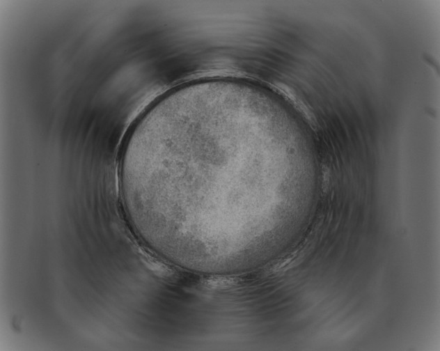 X0000091231274200709061512