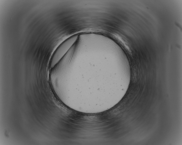 X0000091231276200709061512
