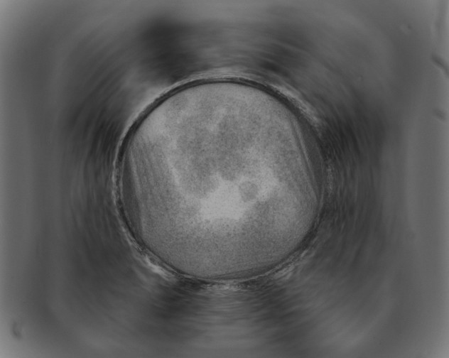 X0000091231278200709061512