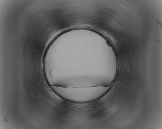 X0000091231280200709061512
