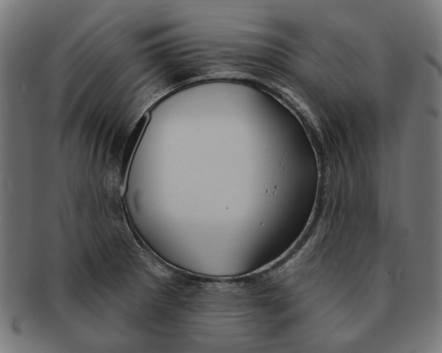 X0000091231281200709061512