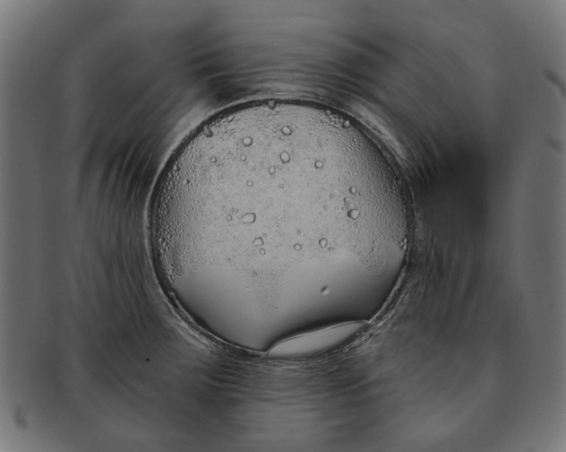 X0000091231283200709061512