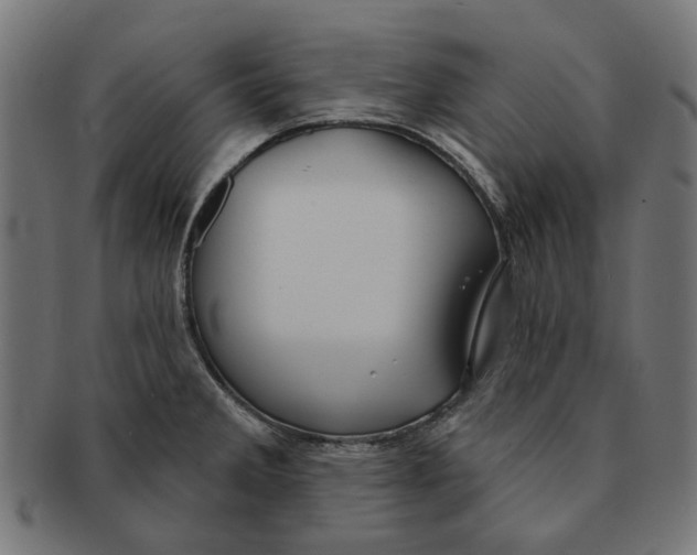 X0000091231285200709061512