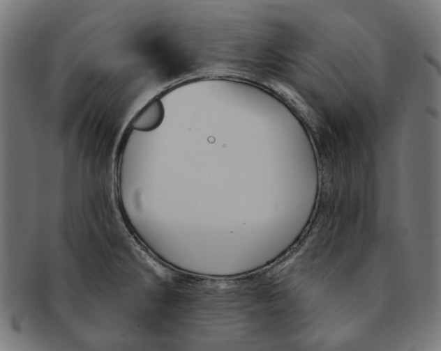 X0000091231286200709061512