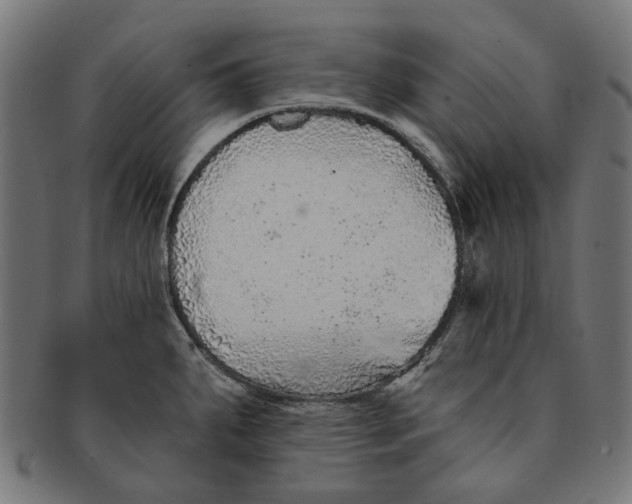 X0000091231287200709061512