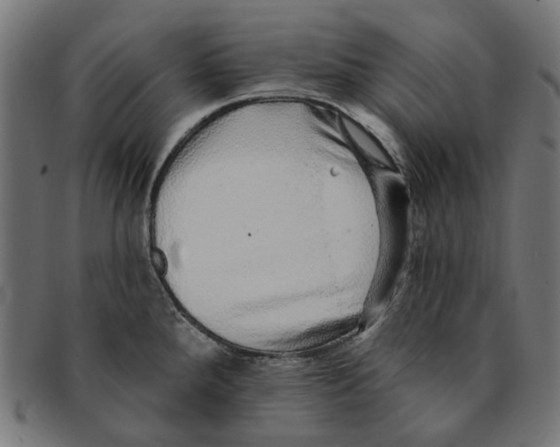 X0000091231288200709061512