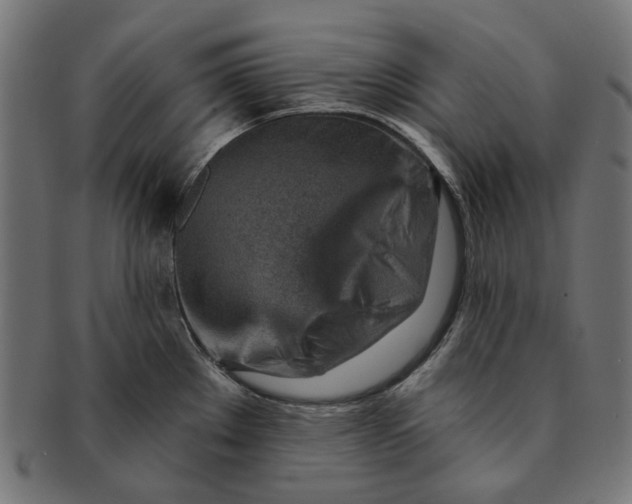 X0000091231289200709061512