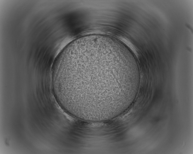 X0000091231290200709061512