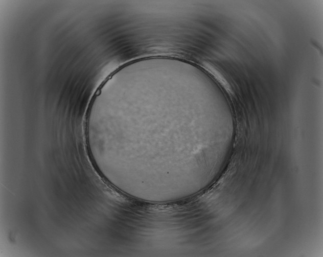 X0000091231291200709061512