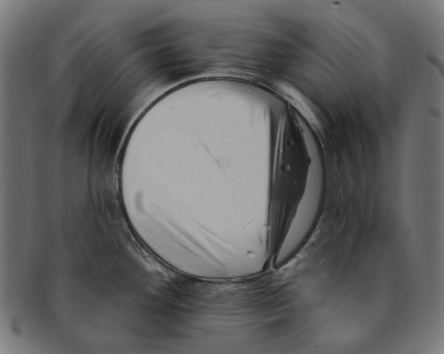 X0000091231292200709061512