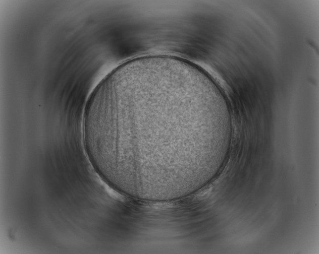 X0000091231294200709061512