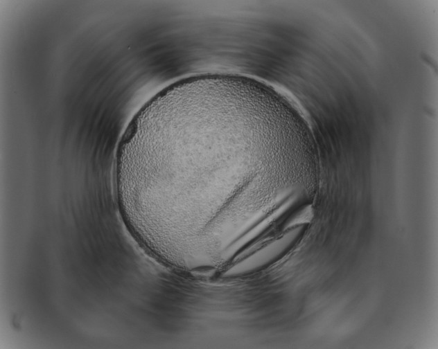 X0000091231295200709061512