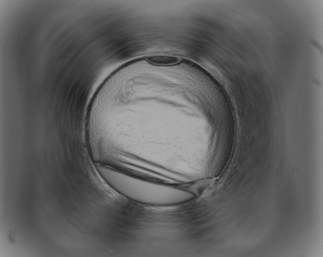 X0000091231296200709061512