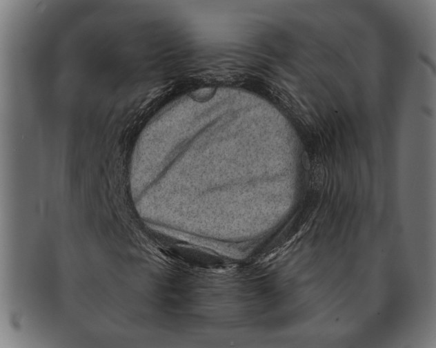 X0000091231297200709061511