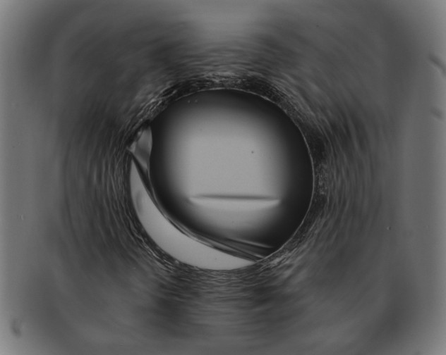X0000091231298200709061511