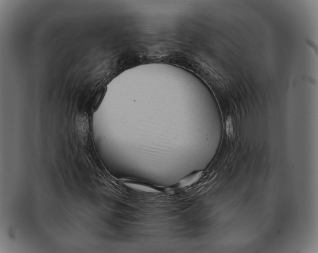 X0000091231299200709061511