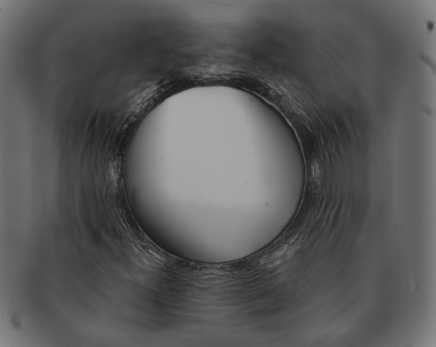 X0000091231300200709061511