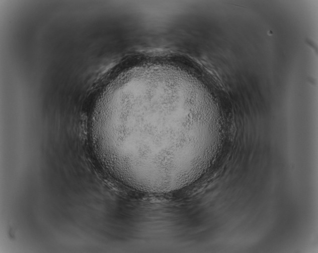 X0000091231301200709061511
