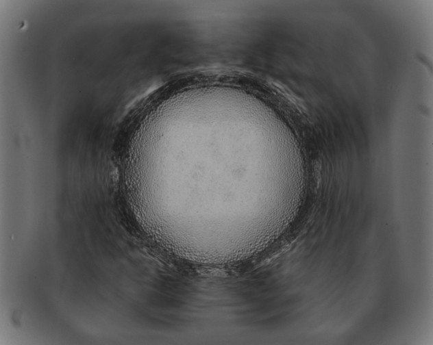 X0000091231302200709061511