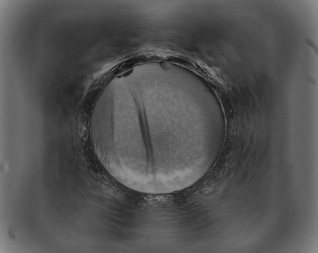 X0000091231303200709061511