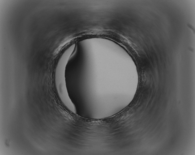 X0000091231304200709061511