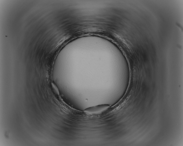 X0000091231305200709061511