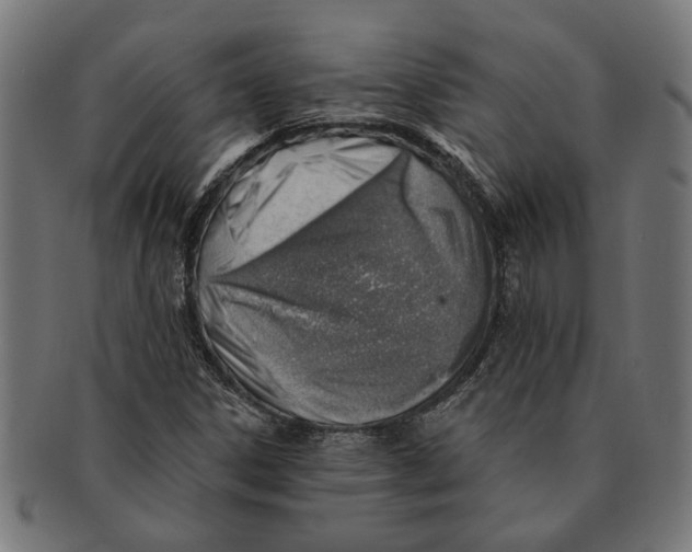 X0000091231306200709061511