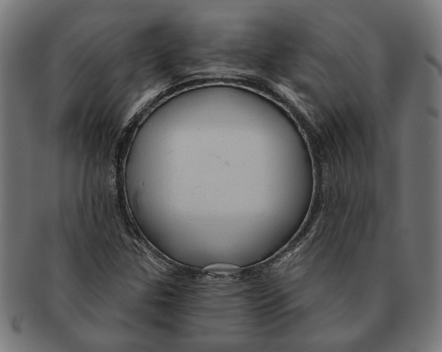 X0000091231307200709061511